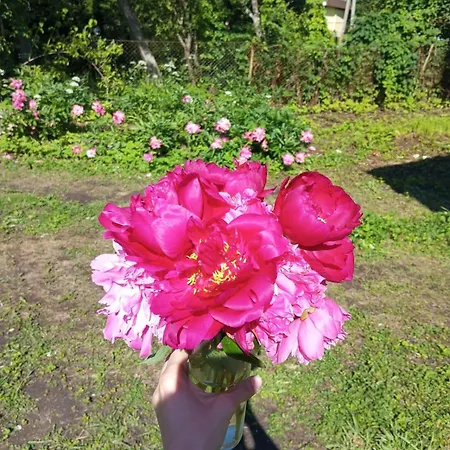 Cozy 30 Min From Tallinn 샬레 Laitse